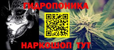 стафф Краснознаменск