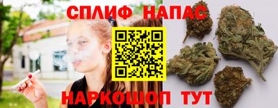 стафф Краснознаменск