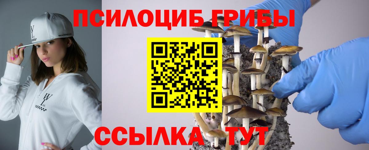 Галлюциногенные грибы Psilocybine cubensis Еманжелинск